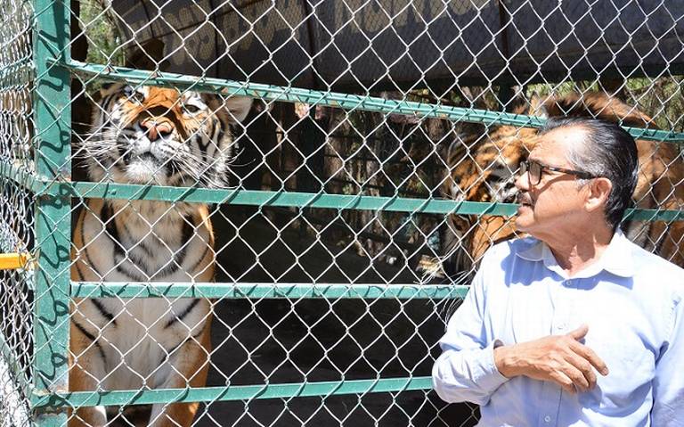 Animales del zoológico de Chihuahua se ven afectados con los «supercierres»
