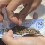 Suprema Corte elimina la prohibición del uso lúdico de la cannabis