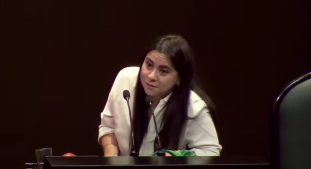 “El machismo asesina cada dos horas a una mujer en este país y el feminismo no mata a nadie”, dice Olimpia Coral frente a diputados en el 25N