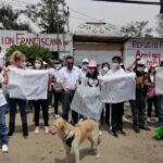 En riesgo, más de mil 500 animales rescatados tras orden de desalojo de refugio en CdMx
