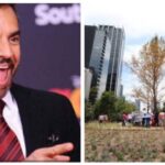 Eugenio Derbez exhibe ahuehuete «seco» de Paseo de la Reforma; cibernautas lo critican