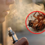 Vapeadores contienen sustancias nocivas contra moscas y cucarachas, alerta Cofepris