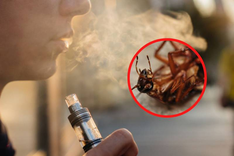 Vapeadores contienen sustancias nocivas contra moscas y cucarachas, alerta Cofepris