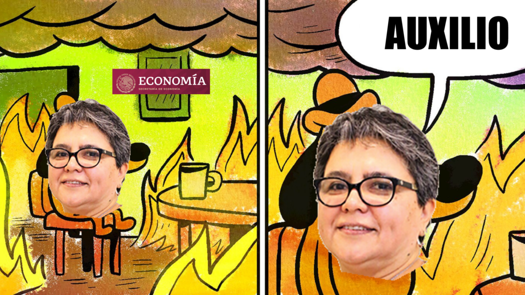 Raquel Buenrostro deja un desastre en el SAT y no le espera nada bueno a Economía 