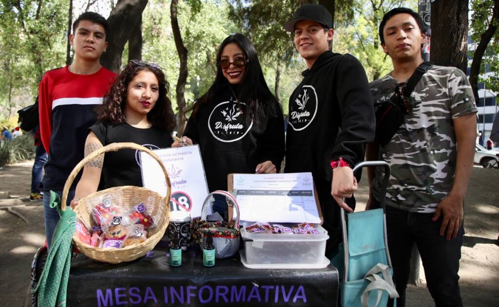 Plantón de marihuana instalado hace 3 años se va del Senado