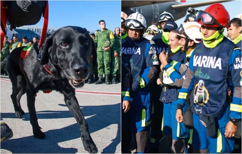 Aterriza misión mexicana en Turquía para entregar ayuda humanitaria y salvar vidas tras terremoto