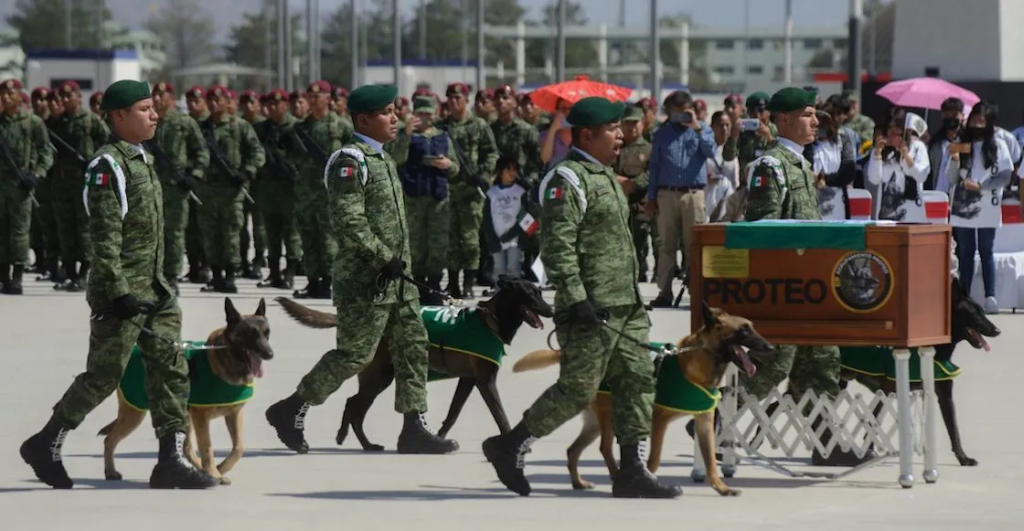 El emotivo homenaje de despedida a Proteo, perrito rescatista que viajó a Turquía