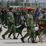 El emotivo homenaje de despedida a Proteo, perrito rescatista que viajó a Turquía