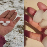 ¿Pelotas de golf, ping-pong y ciruelas? Internautas comparan tamaño del granizo que cayó en el EDOMEX