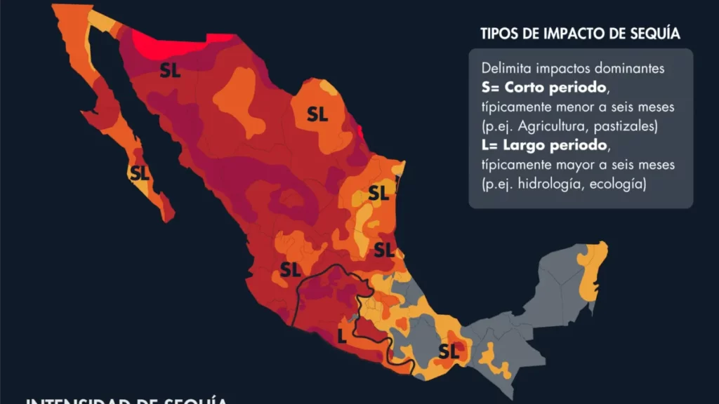 Registra el 50% del país sequía: los estados más afectados