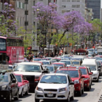 Sedema otorgó casi 560 mil “pases turísticos” para automovilistas en el 2022