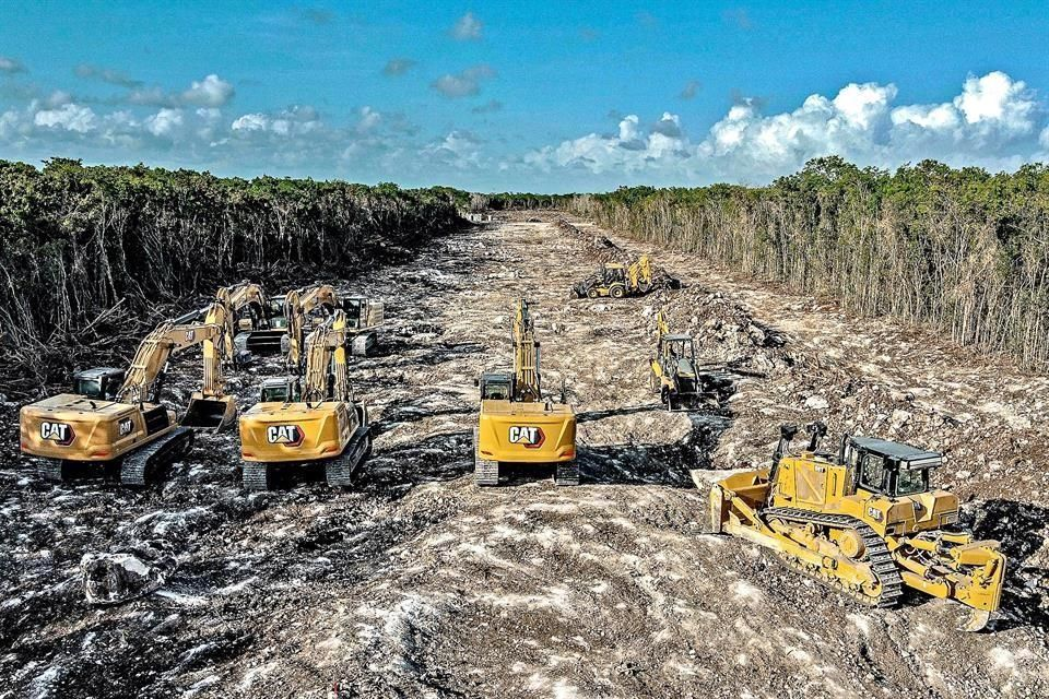 Tren Maya: Conceden suspensión definitiva para frenar desmonte y tala en Tramos 3, 4, 5 Norte y 6