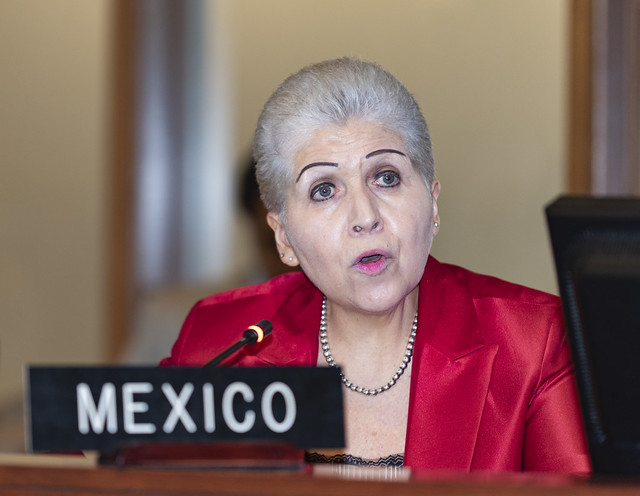 “No me voy a sentar”: embajadora de México protagoniza bochornosa sesión en la OEA