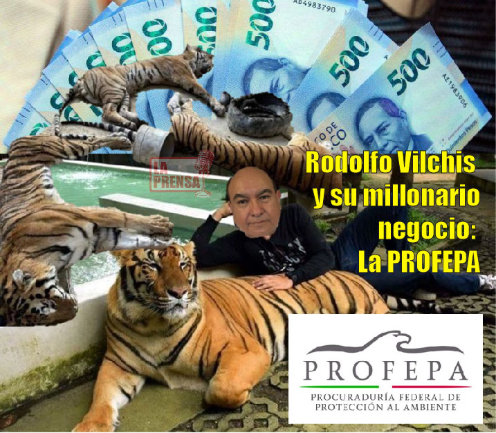 La PROFEPA esconde a Rodolfo Vilchis: Impunidad, malos manejos y corrupción son sus «méritos»