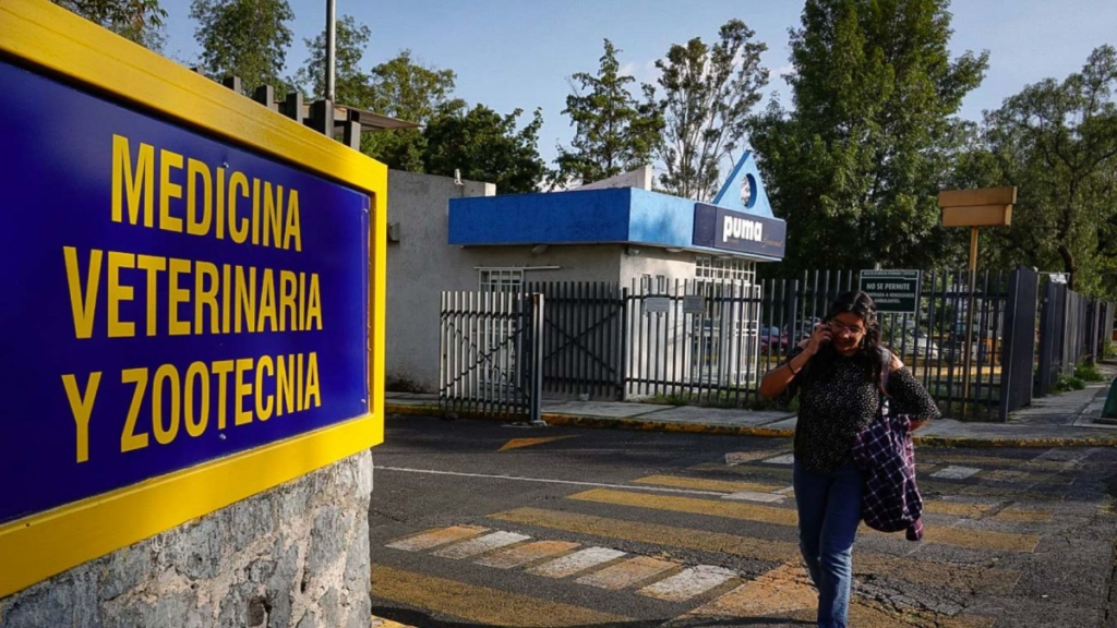 Sigue fumigación en UNAM por chinches: lista de planteles que suspenden clases presenciales