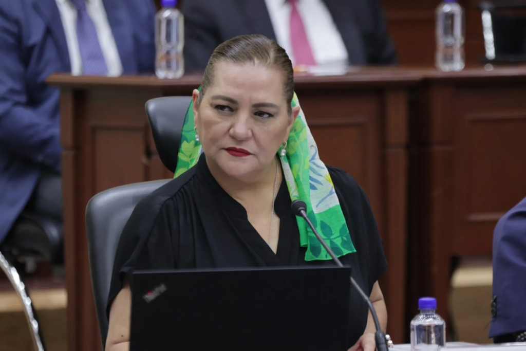 Escala conflicto en el INE; Taddei rechaza sus propias candidaturas a la Secretaría Ejecutiva