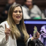 Diputada priista llama ‘irresponsables’ a mexicanos que votaron por Morena en elecciones 2024