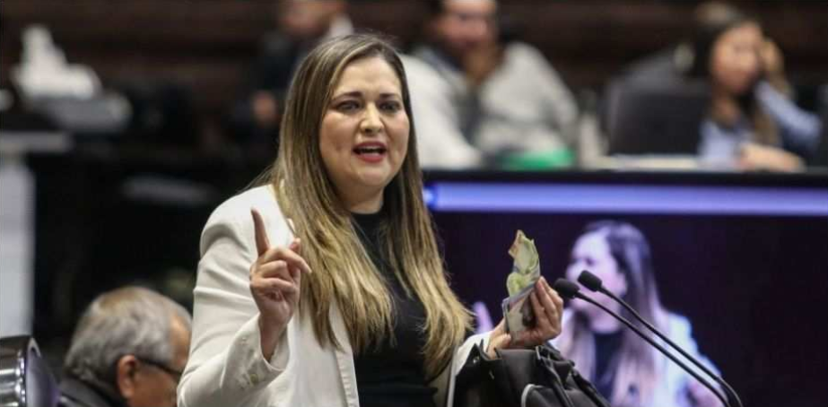 Diputada priista llama ‘irresponsables’ a mexicanos que votaron por Morena en elecciones 2024