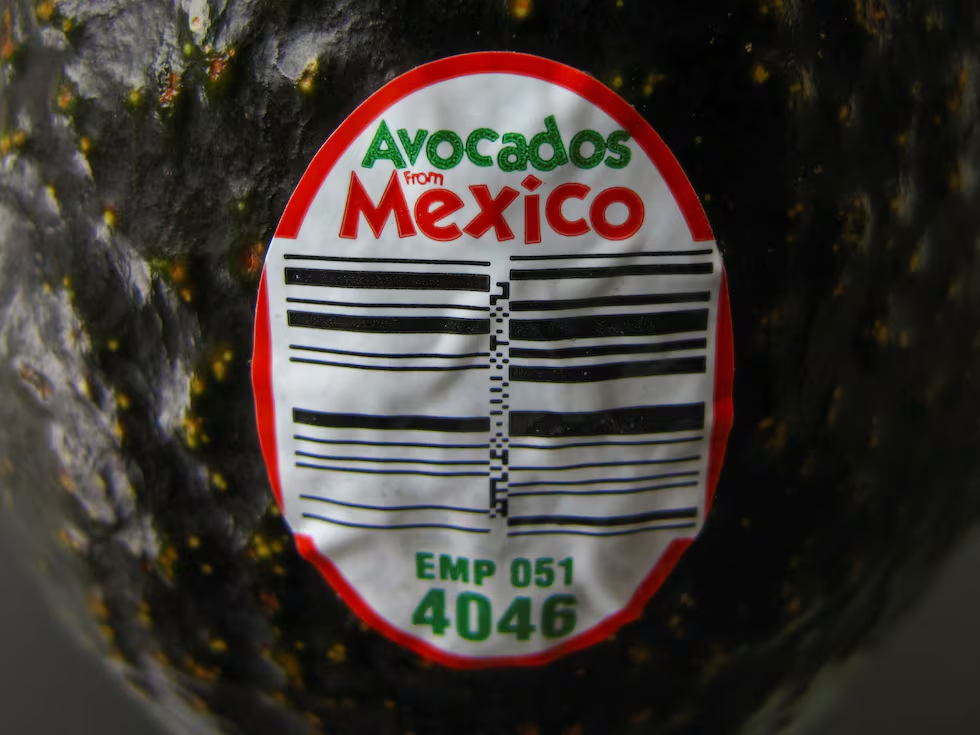 EE UU suspende las importaciones de aguacate mexicano y emite una alerta de seguridad contra Michoacán