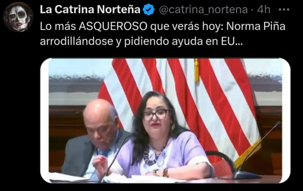 La maquinaria oficialista desata campaña de odio contra Norma Piña