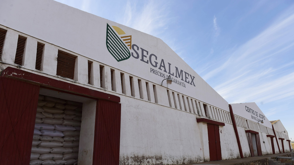AMLO CONFIRMA CORRUPCIÓN EN SEGALMEX