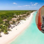 A la sombra del Tren Maya, el paraíso secreto de los Bartlett