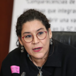 Lenia Batres ejemplifica el peligro de elección judicial por desprecio a la independencia: magistrado