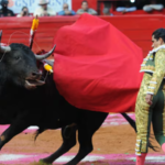 Corridas de toros sin violencia son oficiales