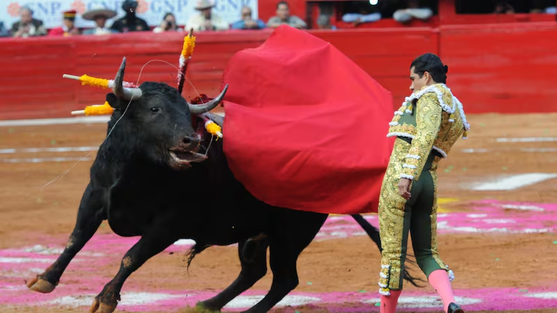 Corridas de toros sin violencia son oficiales