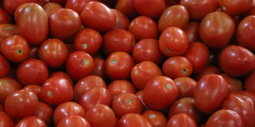 Y ahora, arancel de Trump de 20.9% a tomate mexicano