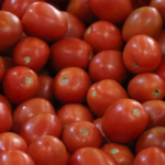 Y ahora, arancel de Trump de 20.9% a tomate mexicano