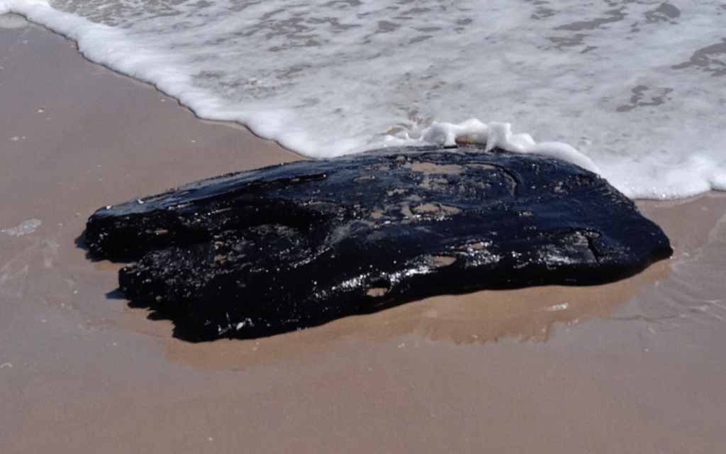 Reportan hidrocarburo en costas de Tamaulipas