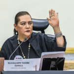 Cae Taddei cercada por señalamientos sobre conflictos de interés en el INE